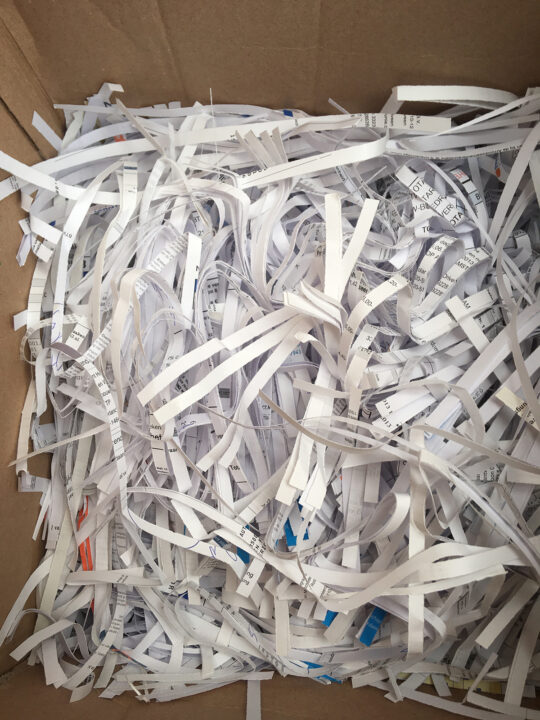 #1 paper shreds no.1 IMG_5333